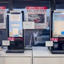 ㈜예스렌트카 | 제주 공항 근처 예스렌트카 미니쿠퍼 오픈카 후기, 제주 가볼 만한 곳 포토존 추천