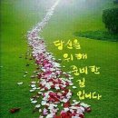 멋진 하루 이미지