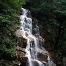793 Daum카페