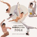 펀치레이디 & 필라테스 이미지