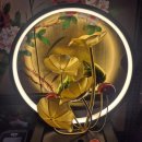 여주-0365 이미지