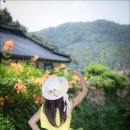 까페능소화 이미지