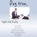 도그미용실 이미지