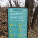 청룡사 등산로 이미지