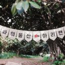 아리랜드 이미지