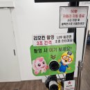 수원 호매실 셀프스튜디오 사진관 대추천 부록스튜디오 후기
