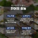 자연산 *전어* 구이 이미지