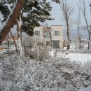 발트하우스 이미지