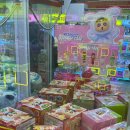 비타민 인형뽑기 | # 랜덤가챠 성지 캑티 가챠샵 건대점 후기｜인생 첫 가챠 뽑으러 건대로 가챠!