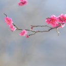 기다리는 마음 이미지