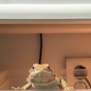 작은동물원 이미지