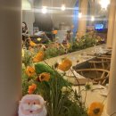 선트리레스토랑 이미지