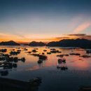 비즈트랜스 외국어번역 행정사사무소 이미지