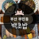 백초(여) | 부산 부민동 백초밥 내돈내후기,동아대 맛집, 가성비 초밥