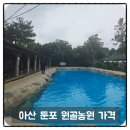 원골농원 | 아산 물놀이 둔포 원골농원 가격 평상 올해 재방문 후기