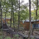 숲속의 집 이미지