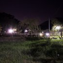 제240차 야간산행 2011년 9월 21일(수) 저녁8시 계족산 황톳길 맨발걷기(맛보기) 이미지