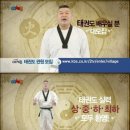 강호동태권도 스포츠조선