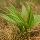 이원호농장 이미지