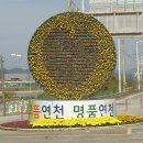 천주교연천 성당 제7회 국화꽃 축제(2011년10월7일~23일까지)＜1＞ 이미지