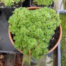 선구목장 이미지