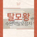탈모왕수원