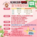 다은딸기