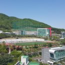 용인대 한국 이미지