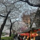 도화어린이공원 | [공덕 포차거리] 공덕 마포 가든 포장마차 야장 후기+웨이팅, 영업시간(벚꽃야장)