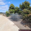 대정생활야구장 이미지