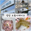 오롯이케이크 이미지
