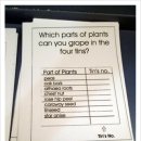 유공약국 이미지