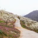 참살이농장 이미지