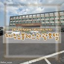 제주어멍 | 가성비 숙소 셔틀서비스 가능한 1박 5만원대 제주노블레스관광호텔, 갈치조림 식당 제주 어멍통갈치 후기