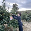 한아름농원 이미지