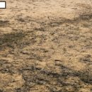 공동체비전고등학교 이미지