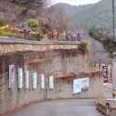 치킨플러스울산언양점 | 언양맛집 화덕517 - 울산화덕피자 작천정맛집가족외식 솔직후기