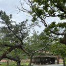 조한기농장 이미지