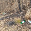 초록산등산로 이미지