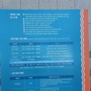 [백미리마을]낙지잡기체험 네이버블로그