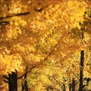 원인재역 이미지