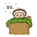 임촌동길 이미지