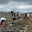 송도갯벌 이미지