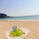 부산화소반