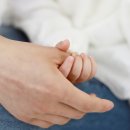 수원-0019 이미지