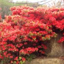 삼방시장입구 이미지