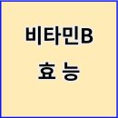 리보플라 이미지
