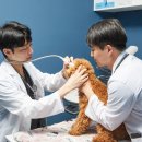 미소동물의료센터 이미지