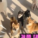 카페우울증 이미지