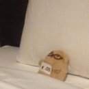 건축사사무소다다그룹 | 🇯🇵Day2| 오타쿠 수행날